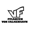 LOGO_VF-Pflanzen von Falkenhayn GmbH & Co. KG