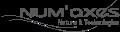 LOGO_NUM'AXES, SAS