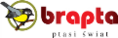 LOGO_BRAPTA, DOROTA CIURUS