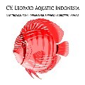 LOGO_LEOPARD AQUATIC