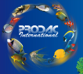 LOGO_PRO.D.AC International S.r.l.