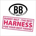 LOGO_Buddy Belts, Class Art Productions Inc.