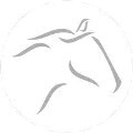 LOGO_D & A Foods