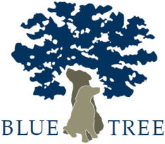 LOGO_BLUE TREE GmbH