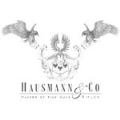 LOGO_Hausmann & Co GmbH
