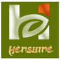 LOGO_Henshine Sport