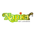 LOGO_Napier Ltd