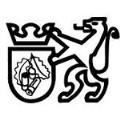 LOGO_Clever Srl