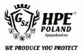 LOGO_HPE POLAND