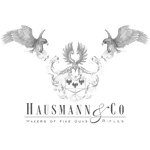 LOGO_Hausmann & Co GmbH