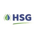 LOGO_HSG GmbH