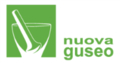 LOGO_NUOVA GUSEO S.R.L.