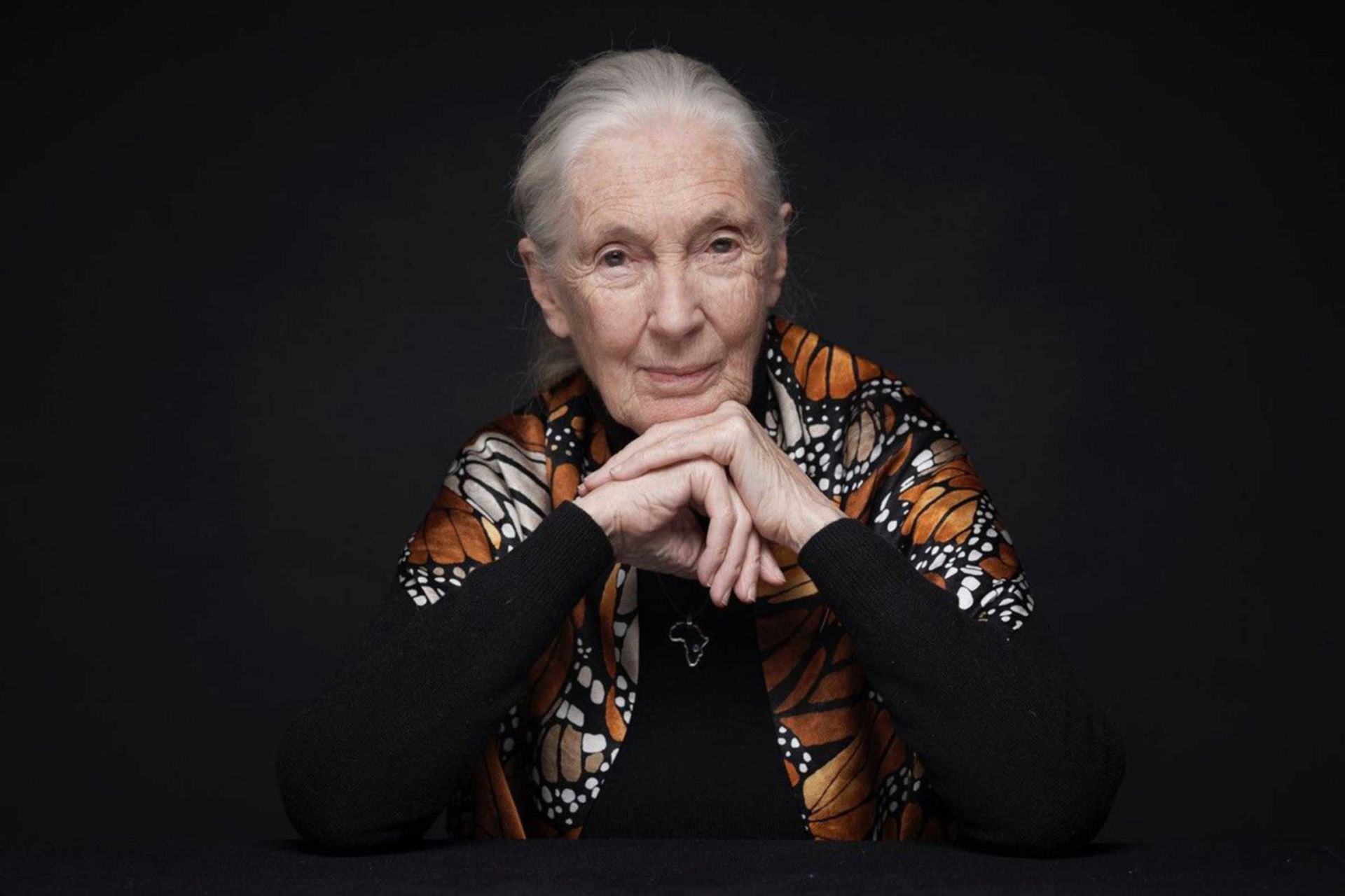 Portrait von Dr. Jane Goodall DBE