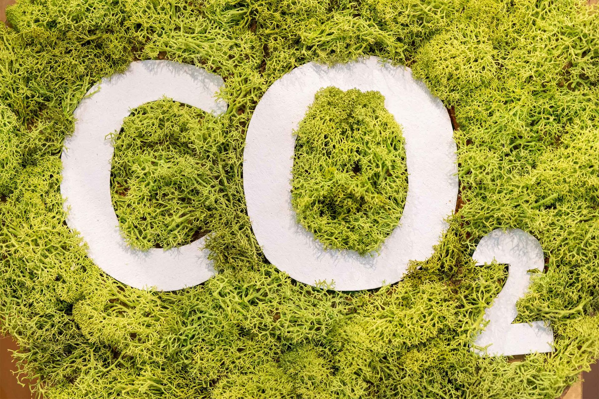 Schriftzug CO2 in Moos