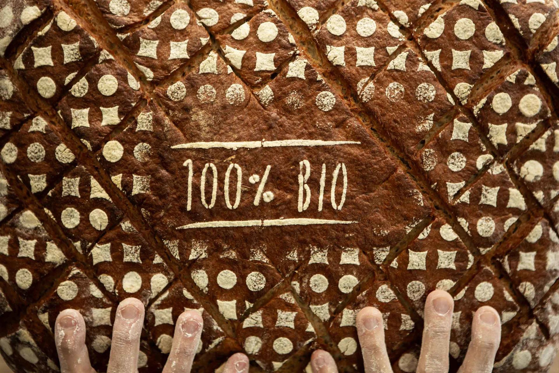 Hände greifen einen Laib Brot mit dem Schriftzug 100% Bio