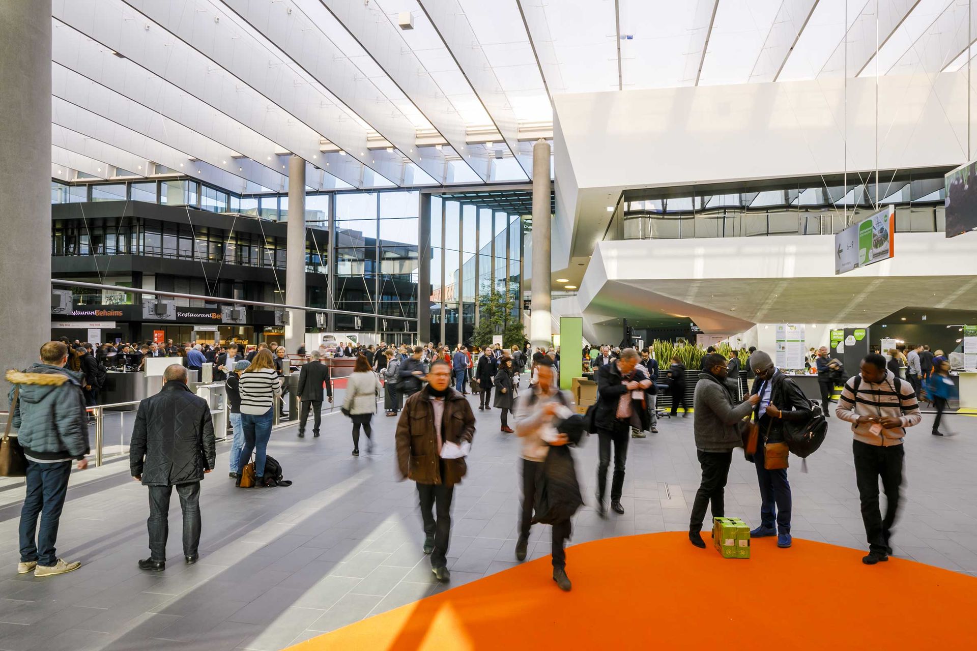 Impressions Entrance Area BIOFACH