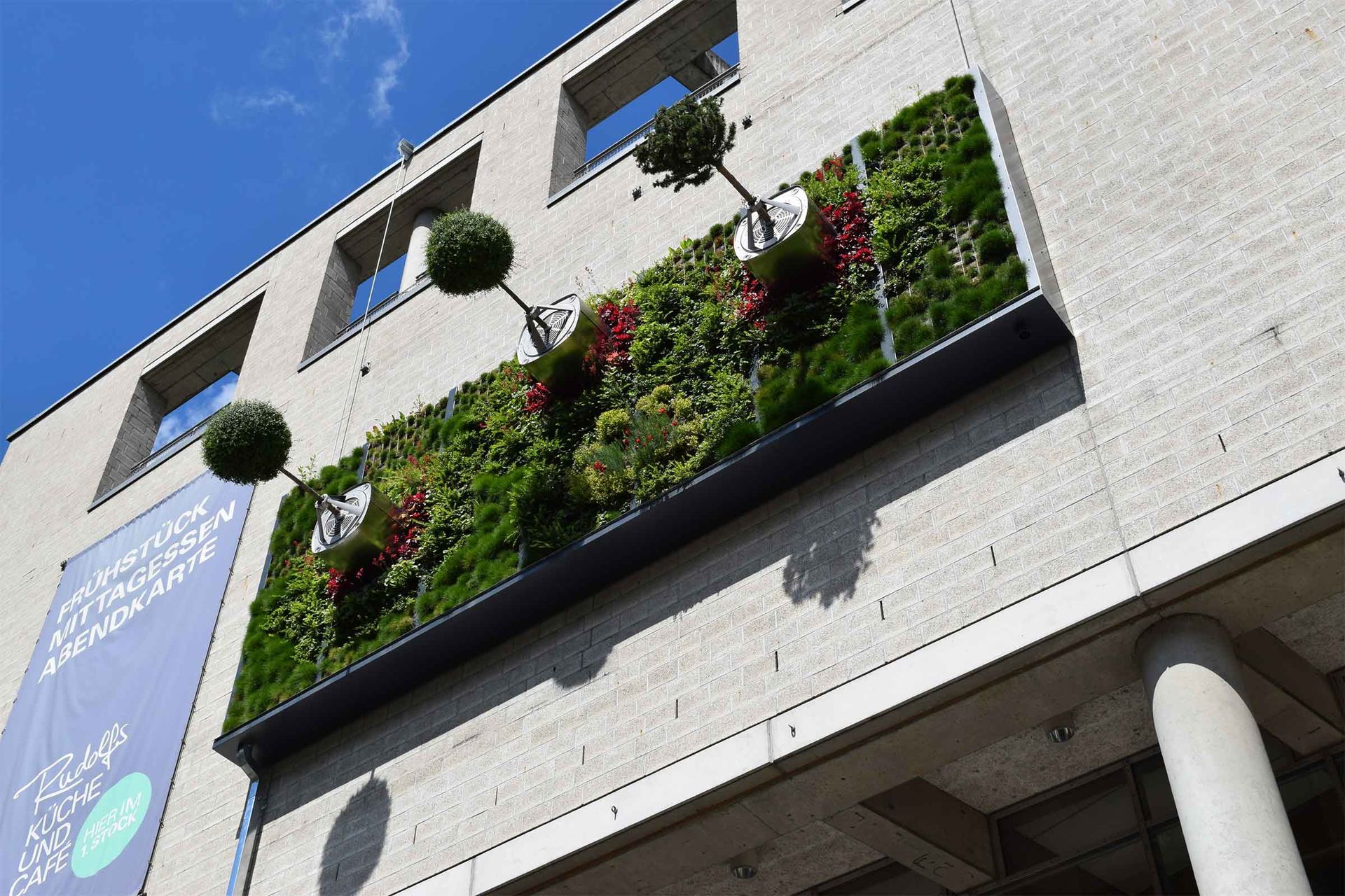Vertikale Begrünung an einem Gebäude