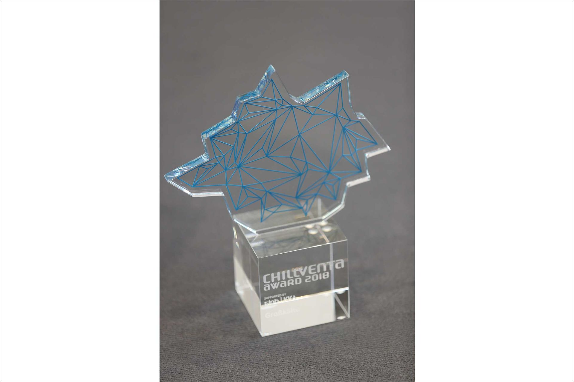 Auf dem Foto sehen sie den Chillventa AWARD, eine Glasskulptur in Netzform
