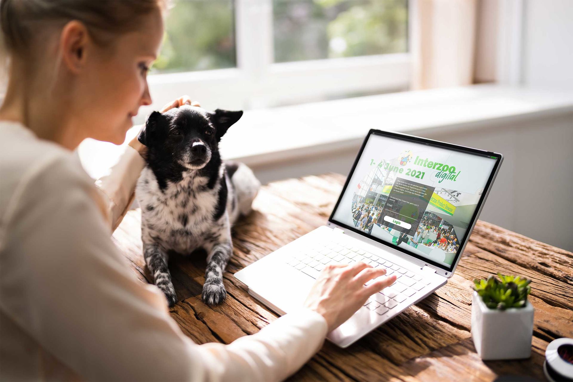 Frau arbeitet am Laptop