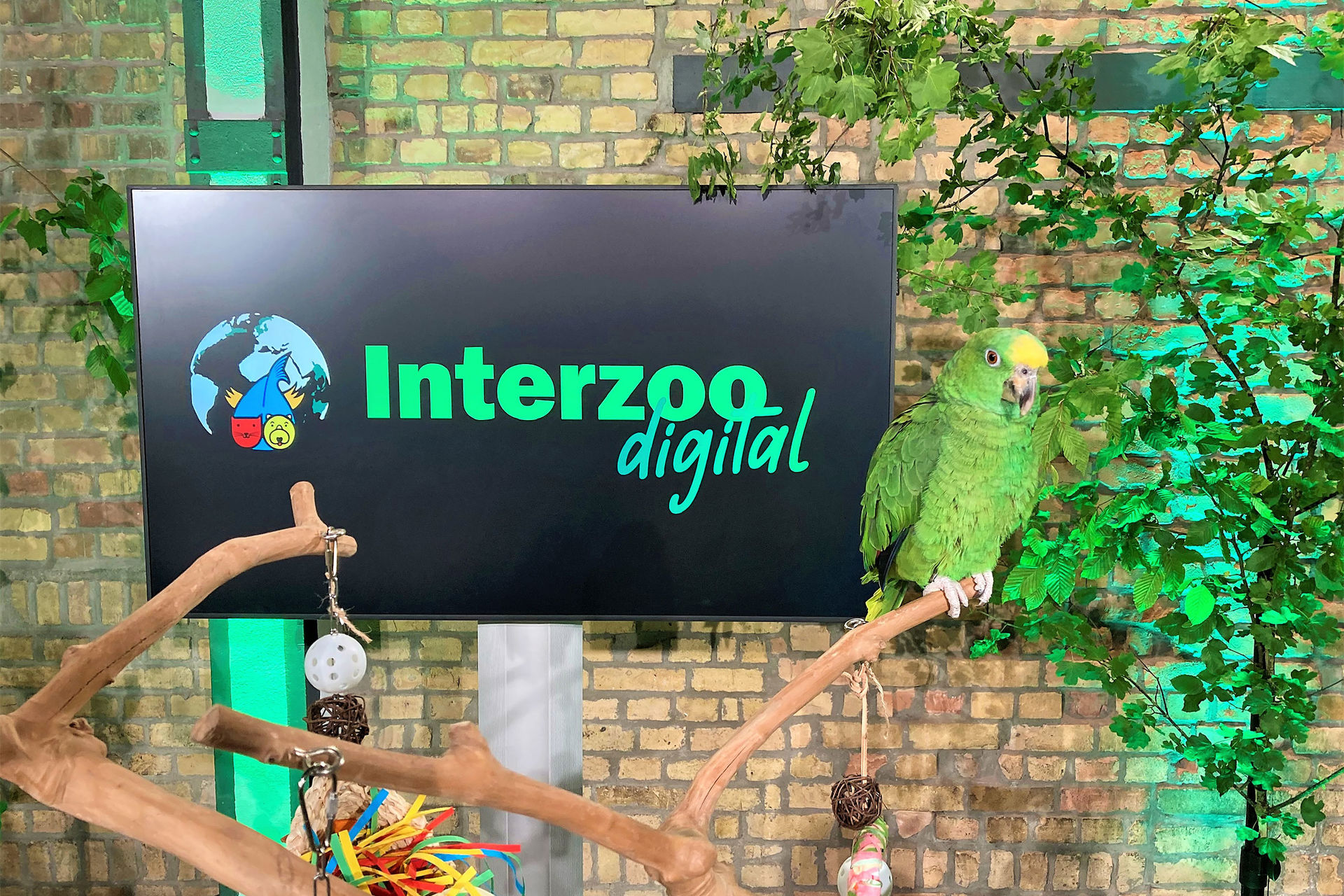 Logo der Interzoo.digital mit Papagei