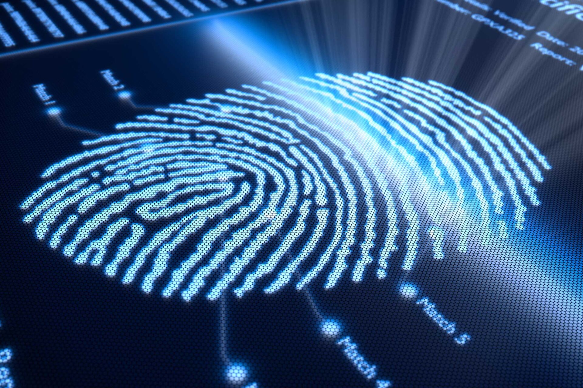 Digitaler Fingerabdruck