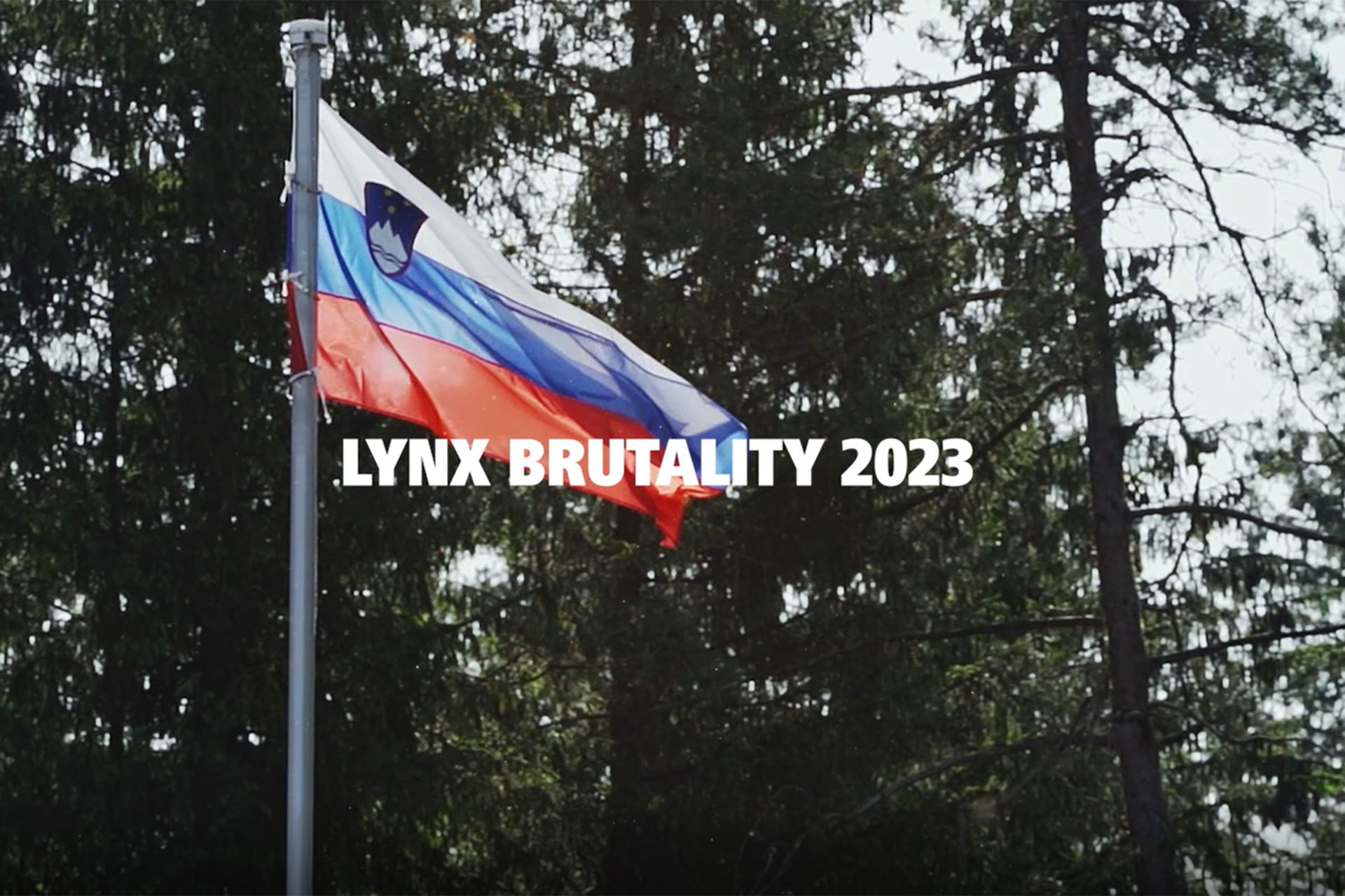 #IWAcampfire - Lynx Brutality 2023 Recap