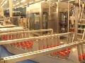 LOGO_Complete Packaging Line & Filling Line suppliers