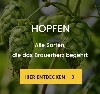 LOGO_Hopfen