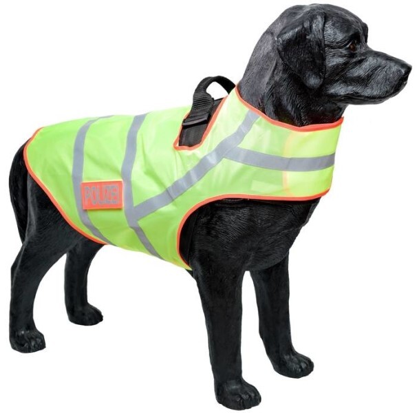 LOGO_Reflective collar for dogs Model 819