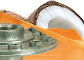 LOGO_BioCor®
