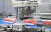 LOGO_Wrapping machines for fresh meat and sausage products