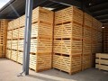 LOGO_Kisten aus Holz, OSB, Sperrholz fuer Maschinenbau, Medizin, Lebensmittel, Gemuese u.a. Produkte.