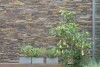LOGO_Stonepanel – Natursteinfassade leicht gemacht