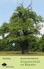 LOGO_Praxis Baumpflege - Kronenschnitt an Bäumen