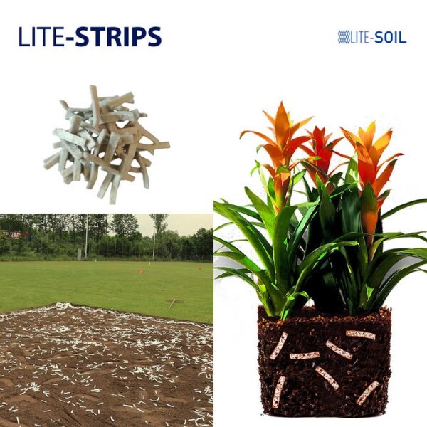 LOGO_LITE-STRIPS