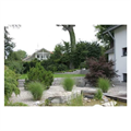 LOGO_(Specimen) Trees and shrubs for private gardens