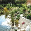 LOGO_Garten- und Schwimmteiche aus DIA-Teichbauelementen aus Ton®