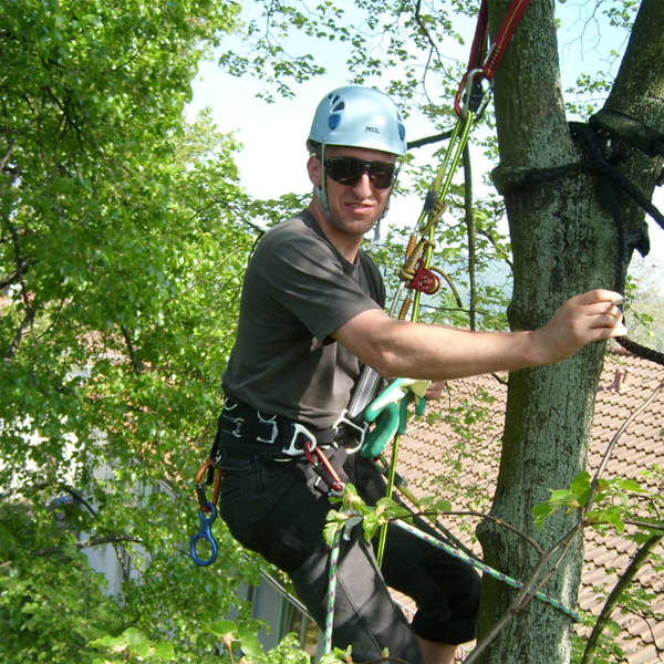 LOGO_Ausbildung zum Fachagrarwirt für Baumpflege und Baumsanierung