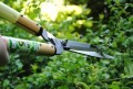 LOGO_Okatsune Pruning Tools