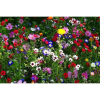 LOGO_Küpper-Blumenwiesen