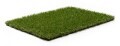 LOGO_ROYAL GRASS® WAVE