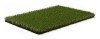LOGO_ROYAL GRASS® SILK 35