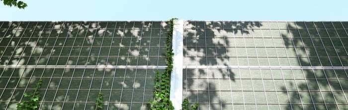 LOGO_Planta®