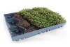 LOGO_ECOSEDUM Pack