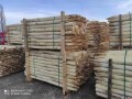 LOGO_Robinia Poles