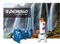 LOGO_Pedrollo water pumps