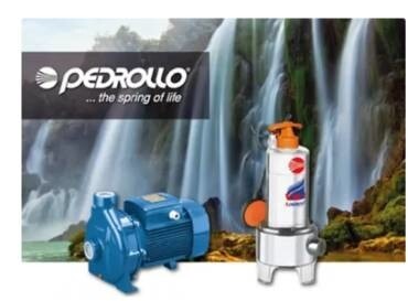 LOGO_Pedrollo water pumps