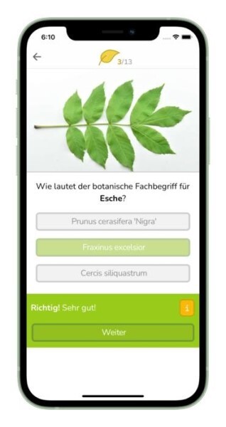 LOGO_Botanica