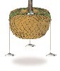 LOGO_Wurzelballenverankerungssystem m. Spezial-Gurtband