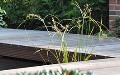 LOGO_Garten- & Landschaftsbau